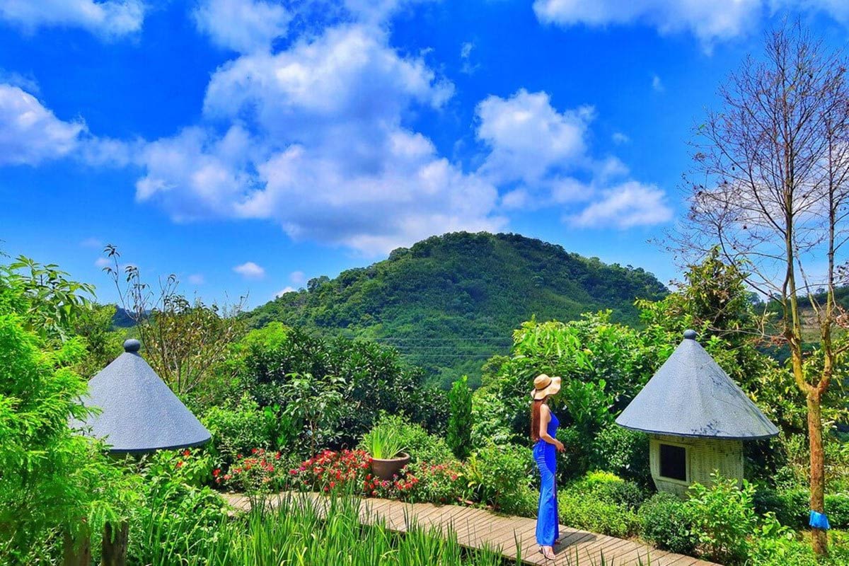 卓也小屋是苗栗著名的生態景點，園區內怎麼拍都好看。（圖片來源：混血珊莎的奇幻旅程）